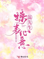 温先生，撩表心意免费阅读