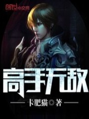 高手无敌全文在线阅读，高手无敌小说免费版-优文网