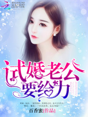 试婚老公，要给力全文在线阅读，试婚老公，要给力小说免费版-优文网