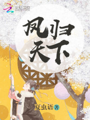 凤归天下免费阅读