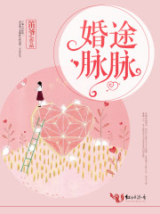婚途脉脉全文在线阅读，婚途脉脉小说免费版-优文网