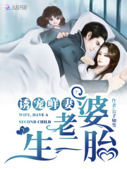 萌宝驾到全文在线阅读，萌宝驾到小说免费版-优文网