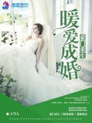 小说《豪门重生之暖爱成婚》全文免费阅读-锤石文学