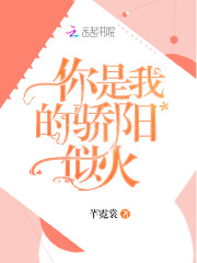 小说《你是我的骄阳似火》全文免费阅读-锤石文学