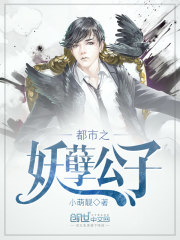 都市之妖孽公子全文在线阅读，都市之妖孽公子小说免费版-优文网