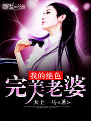 我的绝色完美老婆免费阅读