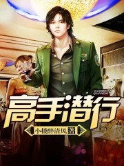 高手潜行全文在线阅读，高手潜行小说免费版-优文网