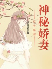 小说《权爷枭宠神秘娇妻》全文免费阅读-锤石文学