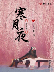 寒月夜全文在线阅读，寒月夜小说免费版-优文网