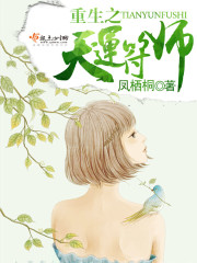 重生之天运符师全文在线阅读，重生之天运符师小说免费版-优文网