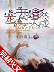 宠妻，婚然天成全文在线阅读，宠妻，婚然天成小说免费版-优文网