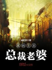 我的完美总裁老婆全文在线阅读，我的完美总裁老婆小说免费版-优文网