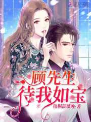 顾先生待我如宝全文在线阅读，顾先生待我如宝小说免费版-优文网