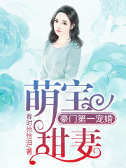 小说《萌宝甜妻：豪门第一宠婚》全文免费阅读-锤石文学