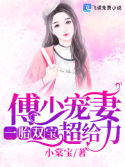 一胎双宝：傅少宠妻超给力！全文在线阅读，一胎双宝：傅少宠妻超给力！小说免费版-优文网