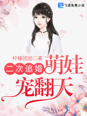 小说《二次追婚：萌娃宠翻天》全文免费阅读-锤石文学