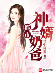 都市神婿奶爸免费阅读
