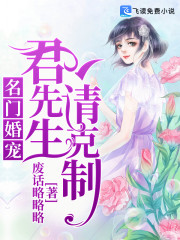 小说《名门婚宠：君先生，请克制》全文免费阅读-锤石文学