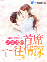 虐爱成婚：首席一往情深全文在线阅读，虐爱成婚：首席一往情深小说免费版-优文网