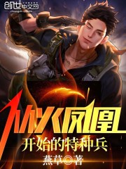 从火凤凰开始的特种兵全文在线阅读，从火凤凰开始的特种兵小说免费版-优文网