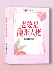 老婆是隐形大佬全文在线阅读，老婆是隐形大佬小说免费版-优文网