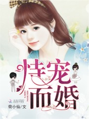 小说《恃宠而婚》全文免费阅读-锤石文学