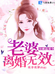 小说《全球追妻令：老婆，离婚无效》全文免费阅读-锤石文学