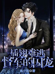 插翅难逃：督军的囚宠免费阅读
