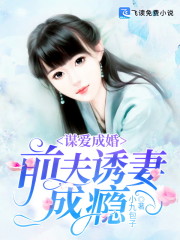 谋爱成婚：前夫诱妻成瘾全文在线阅读，谋爱成婚：前夫诱妻成瘾小说免费版-优文网