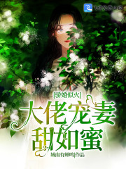 小说《骄婚似火：大佬宠妻甜如蜜》全文免费阅读-锤石文学