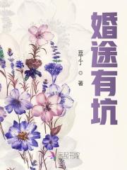 婚途有坑全文在线阅读，婚途有坑小说免费版-优文网