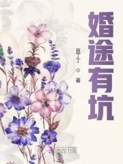 小说《婚途有坑》全文免费阅读-锤石文学