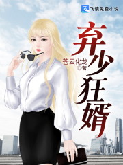弃少狂婿全文在线阅读，弃少狂婿小说免费版-优文网