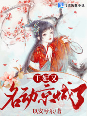 王妃又名动京城了全文在线阅读，王妃又名动京城了小说免费版-优文网