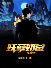 至尊奶爸免费阅读