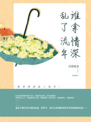 谁拿情深乱了流年全文在线阅读，谁拿情深乱了流年小说免费版-优文网