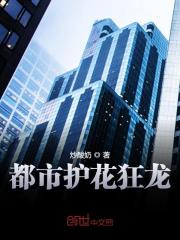 都市护花狂龙全文在线阅读，都市护花狂龙小说免费版-优文网