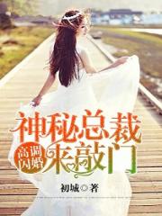 高调闪婚，神秘总裁来敲门全文在线阅读，高调闪婚，神秘总裁来敲门小说免费版-优文网