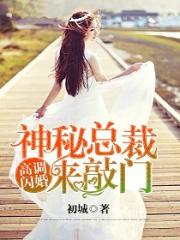 小说《高调闪婚，神秘总裁来敲门》全文免费阅读-锤石文学