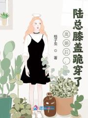陆太太复婚吧全文在线阅读，陆太太复婚吧小说免费版-优文网