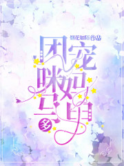 团宠妈咪马甲多全文在线阅读，团宠妈咪马甲多小说免费版-优文网