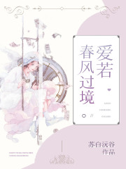 小说《爱若春风过境》全文免费阅读-锤石文学