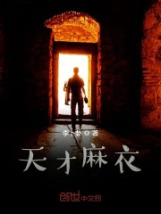 天才麻衣全文在线阅读，天才麻衣小说免费版-优文网