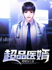 超品医婿免费阅读