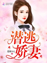 白沐沐夏辰皓小说《潜逃娇妻》在线阅读