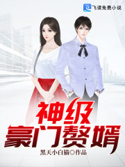 神级豪门赘婿免费阅读