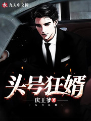头号狂婿免费阅读