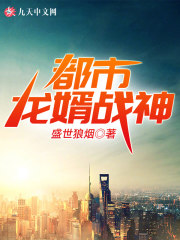 都市龙婿战神全文在线阅读，都市龙婿战神小说免费版-优文网