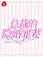 总裁的隐婚罪妻全文在线阅读，总裁的隐婚罪妻小说免费版-优文网