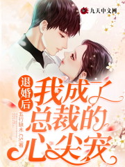 退婚后我成了总裁的心尖宠全文在线阅读，退婚后我成了总裁的心尖宠小说免费版-优文网